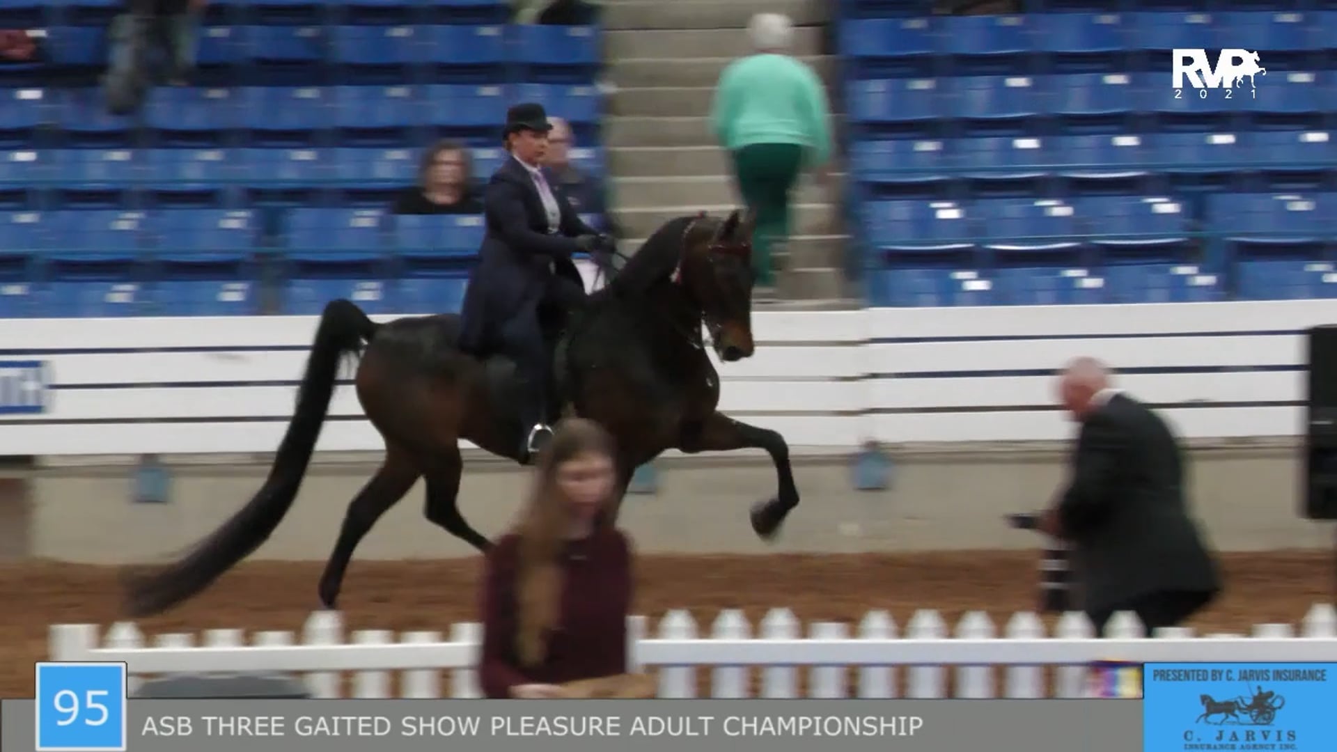 SSSF21 - Class 95 - ASB Three Gaited Show Pleasure Adult Championship