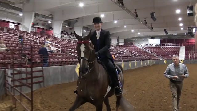 MJ19 - Class 102 - T-Towne Into The N...