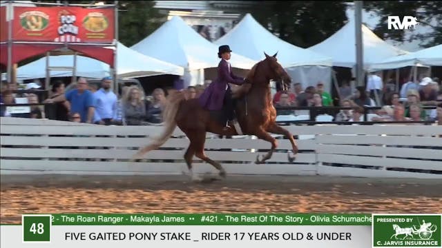 2017 RC - Class 48 Five Gaited Pony S...