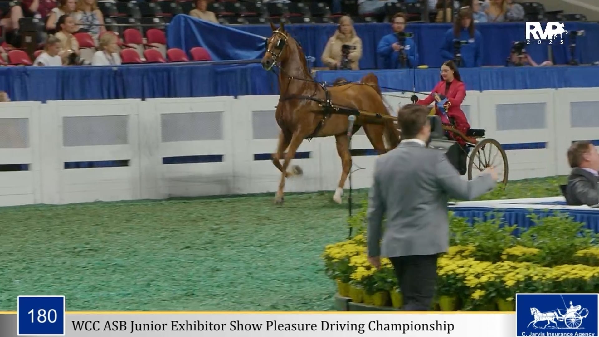 WCHS25 - Class 180 - Wildbriar's Magic Man and Chloe Meche, Whip
