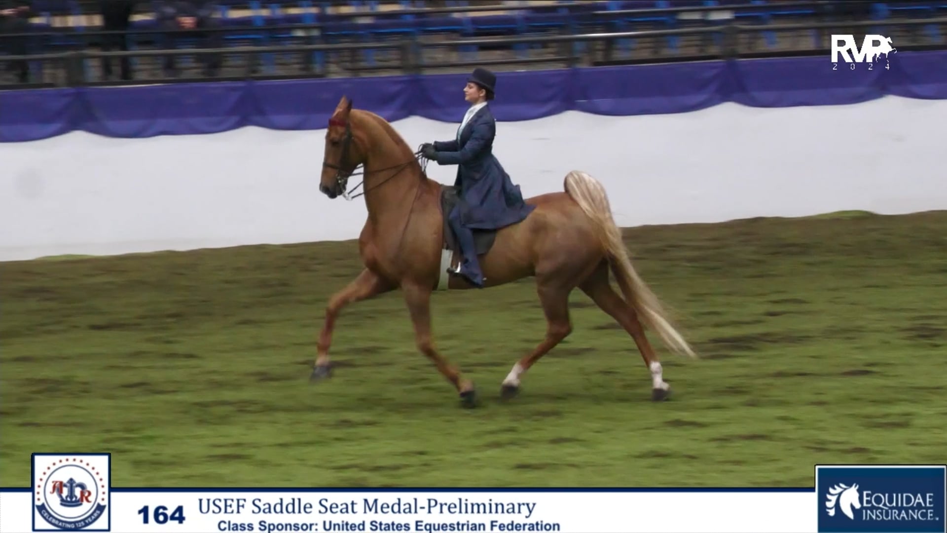 AR24 - Class 164.2 - USEF Saddle Seat Medal- Preliminary