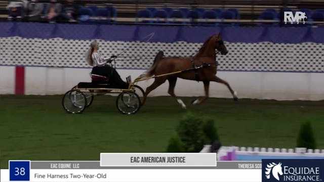 2022 American Royal Horse Show - Wedn...