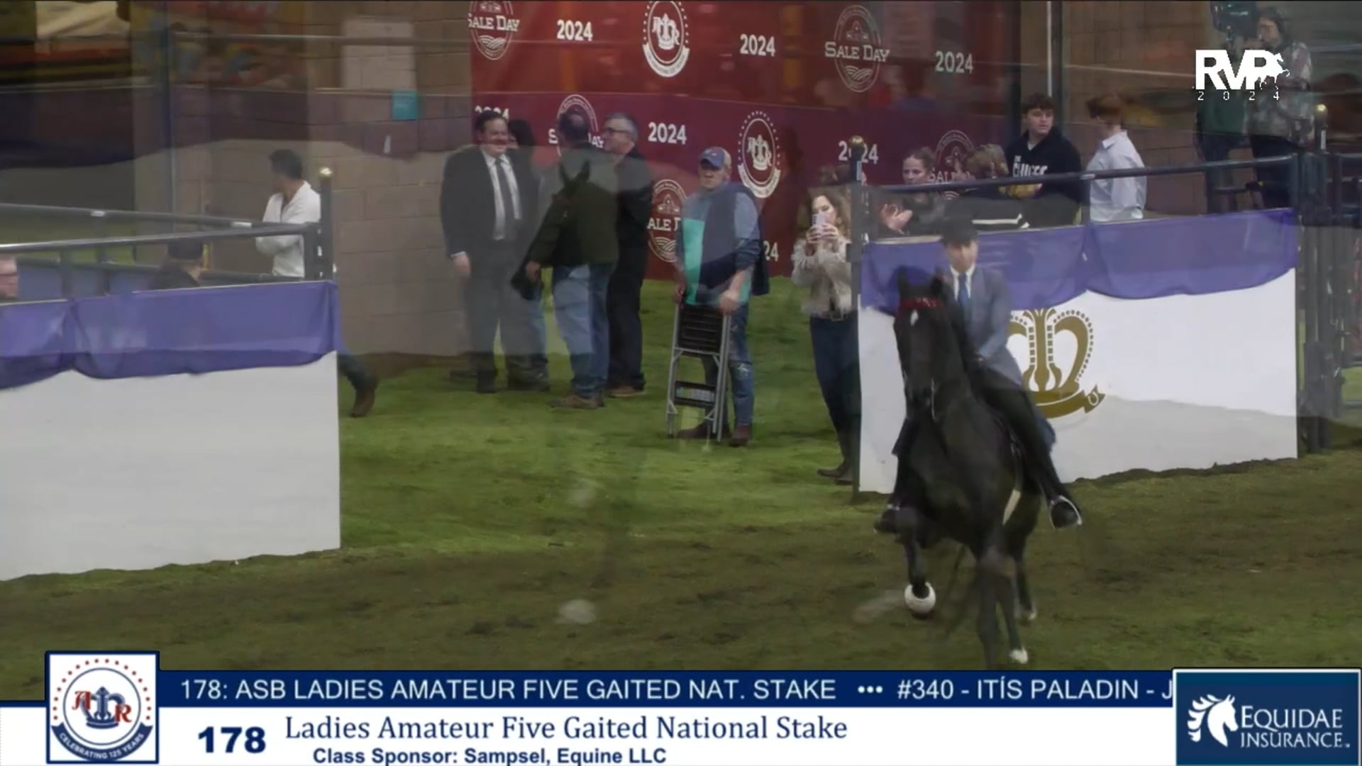 AR24 - Class 178 - Ladies Amateur Five Gaited National Stake