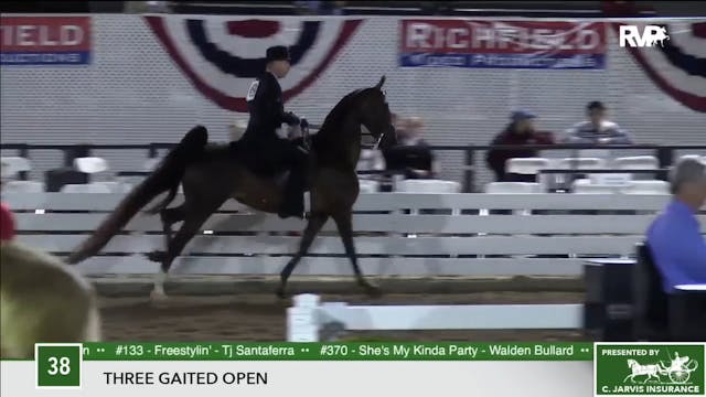2017 RC - Class 38 Three Gaited Open    