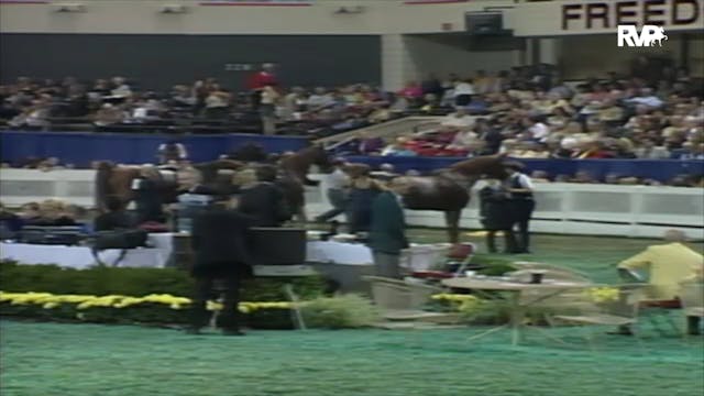 2000 WCHS Class 199 Amateur Five Gait...