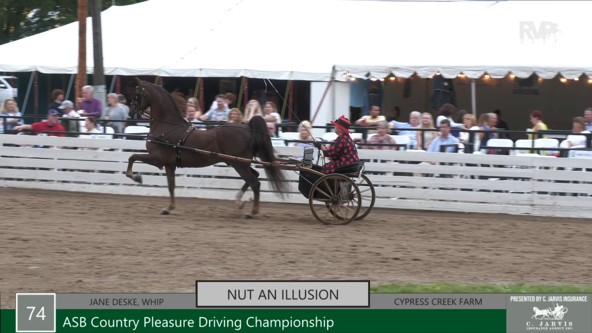 RC21 - Class 74 - Nut An Illusion and Jane Deske, whip