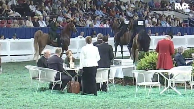 2010 World's Championship Horse Show ...