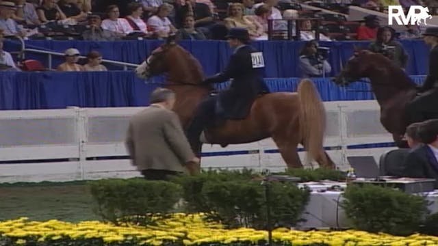 2004 World's Championship Horse Show ...