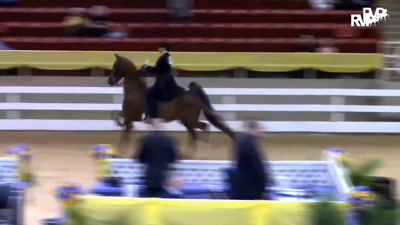 MW17  - Wednesday Morning