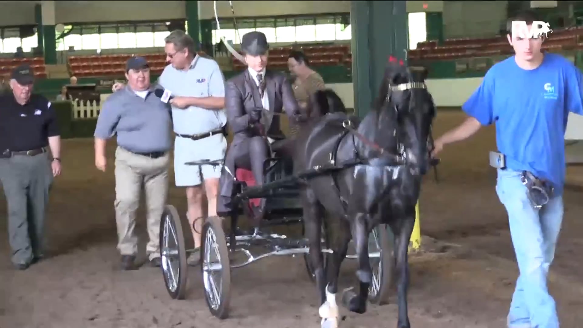 NCSC17 - Class 44 - CH Black Merlin