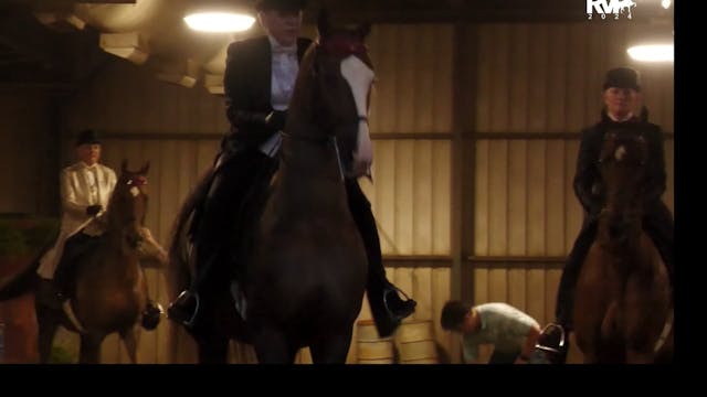 MW24 - Class 90 - ASB Three Gaited La...