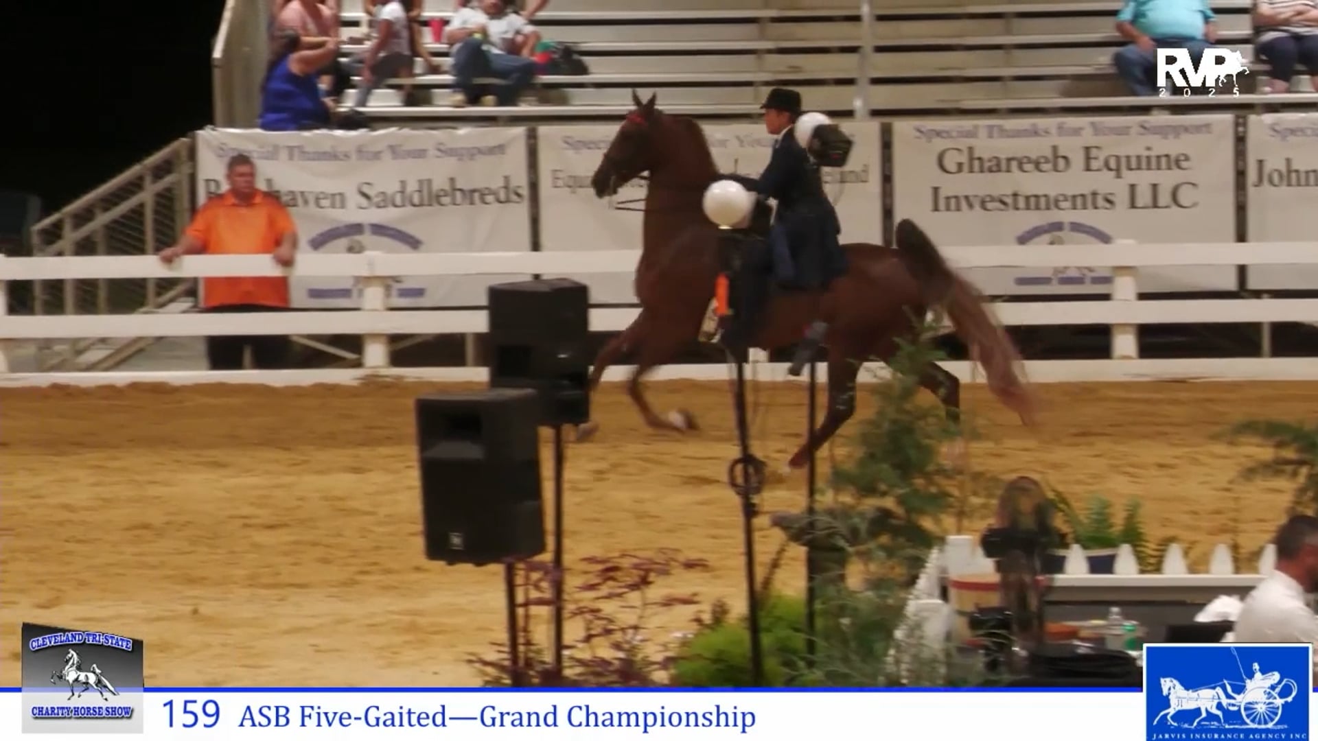 CTS25 - Class 159 - ASB Five Gaited Grand Championship