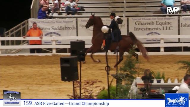 CTS25 - Class 159 - ASB Five Gaited G...