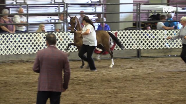 AAC22 - Class 14 -  AHHS National Bre...