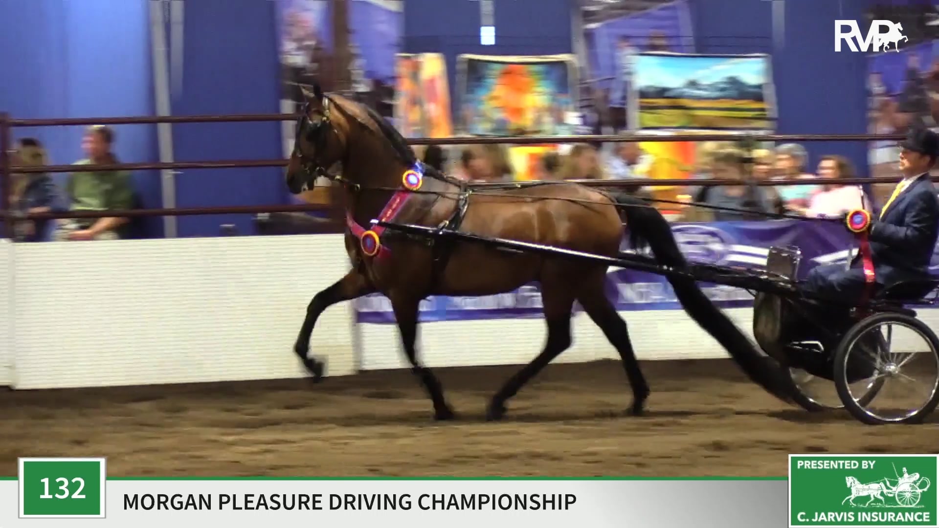 MC19 - Class 132 - Hylee's Letterman