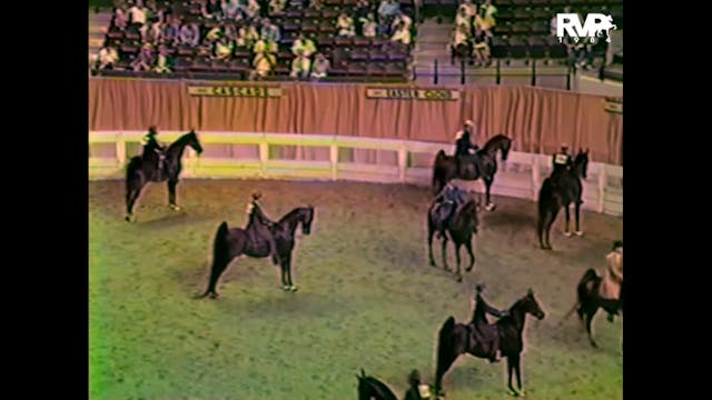 1984 WCHS - Class 43 Amateur Five Gai...