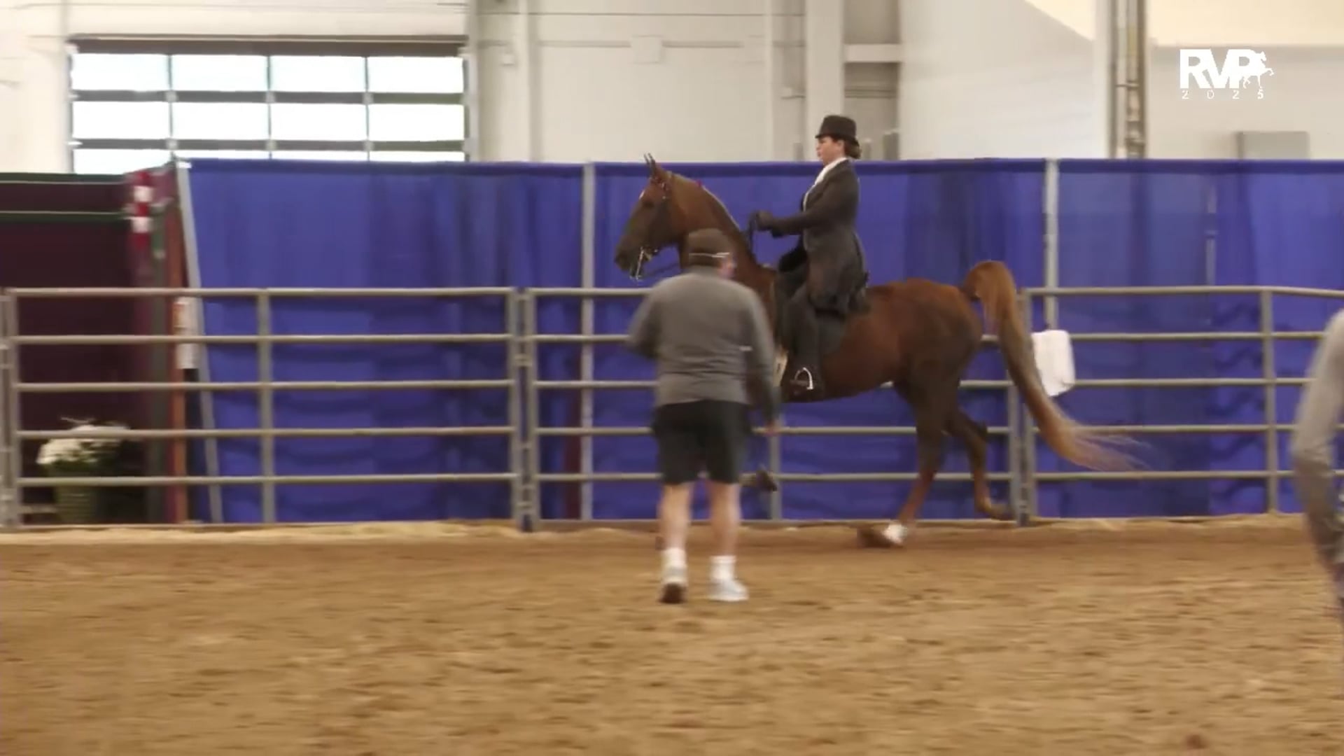 AAC25 - Class 119 - ASB Saddle Seat Pleasure Walk-Trot 12 & Under