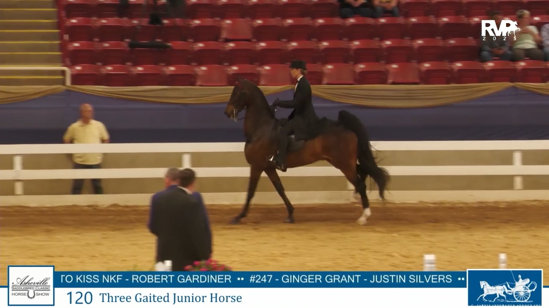ASC25 - Class 120 - Three Gaited Junior Horse