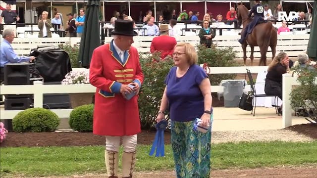 2017 RC - Class 20 Walk:Trot Pleasure...