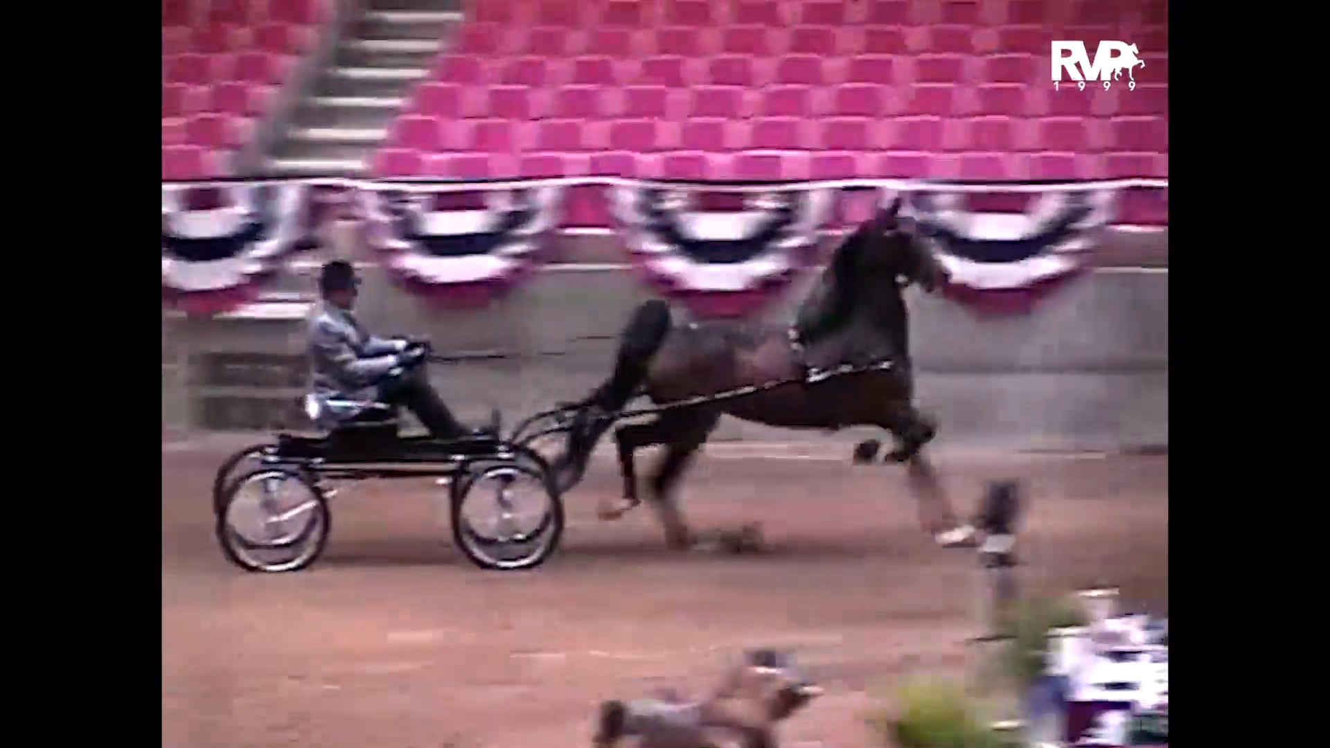 1999 Wisconsin Futurity - Class 60 Junior Fine Harness Horse - Lady Maya and Richard Obenauf, whip