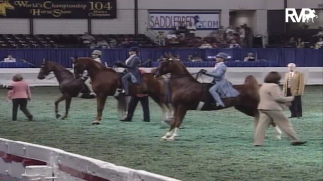 2007 WCHS Class 67 Equitation Open Ri...