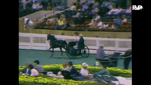 1988 WCHS Class 15 AHHS Futurity Thre...