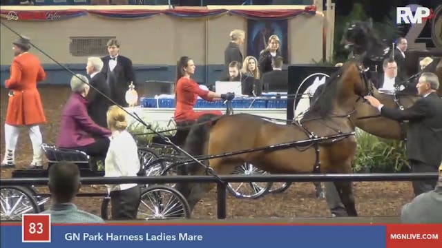 2015 MGN - Class 83 GN Park Harness L...