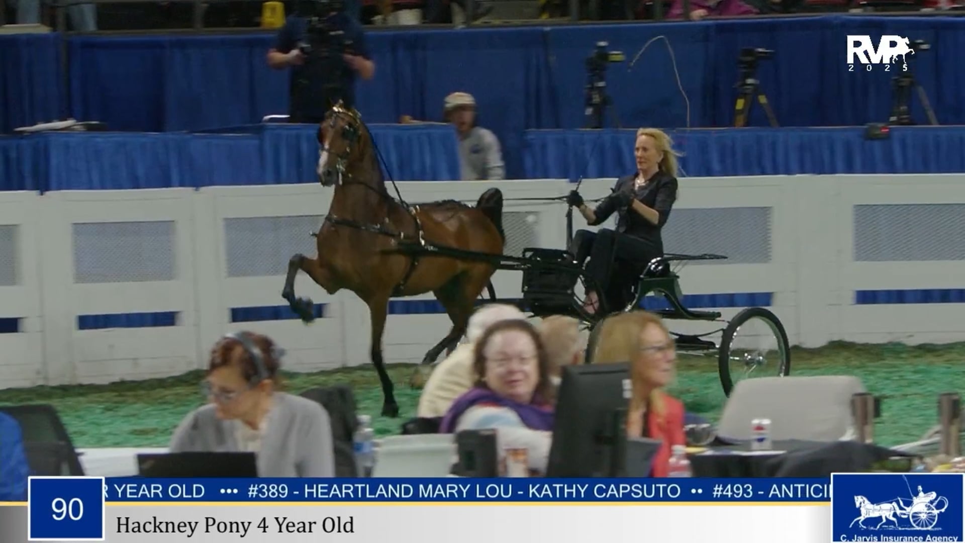 WCHS25 - Class 90 - Hackney Pony 4 Year Old