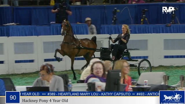 WCHS25 - Class 90 - Hackney Pony 4 Ye...