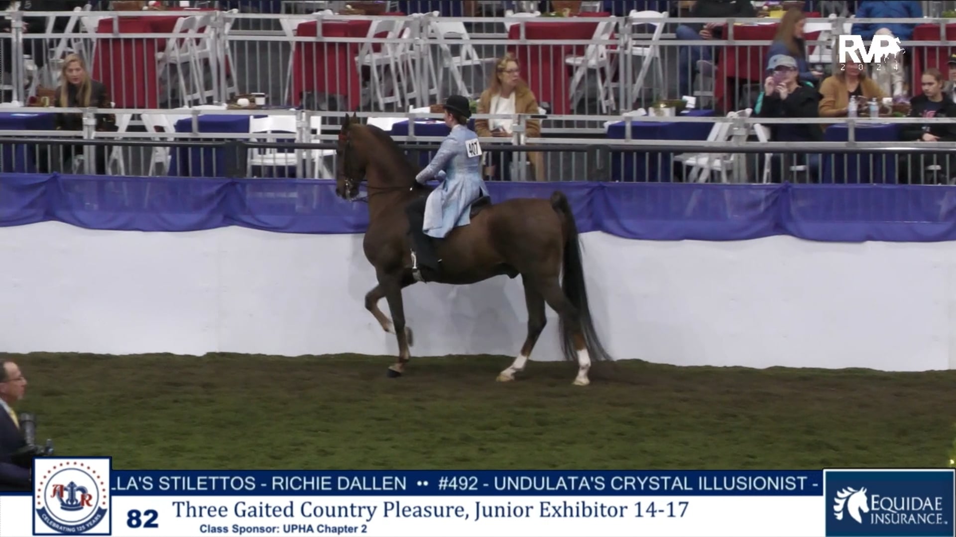 AR24 - Class 82 - Three Gaited Country Pleasure Jr Exhibitor 14-17