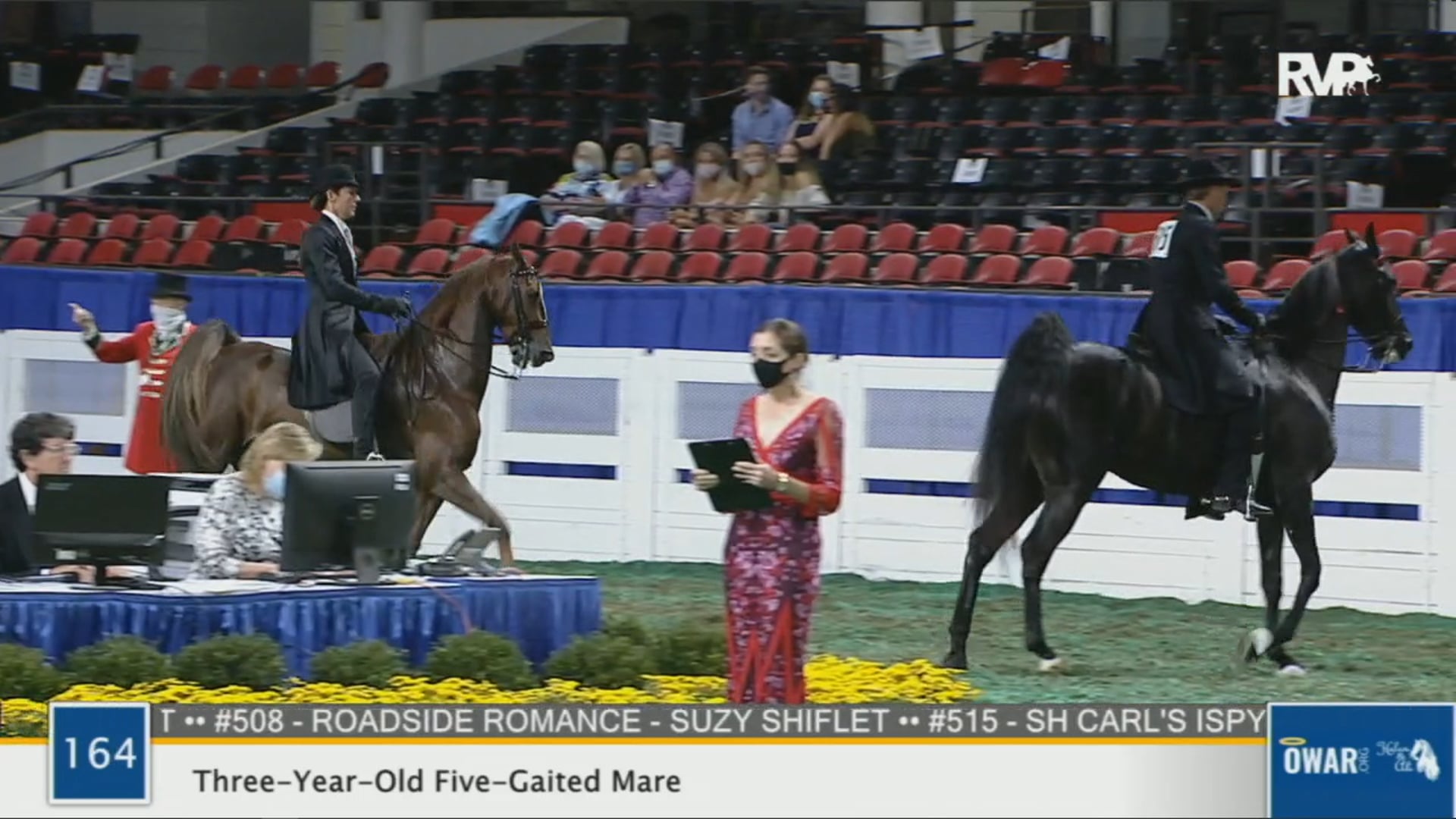 WCHS 2020 Class 164 - Three-Year-Old Five-Gaited Mare