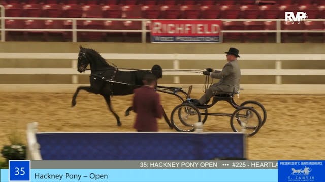 ASW21 - Class 35 - Hackney Pony Open