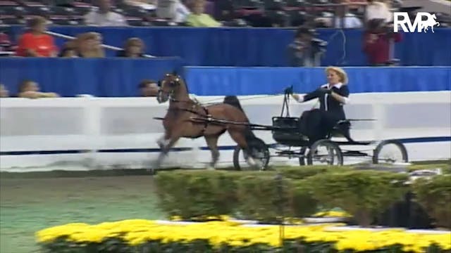 2003 WCHS Class 82 Four Year Old Harn...