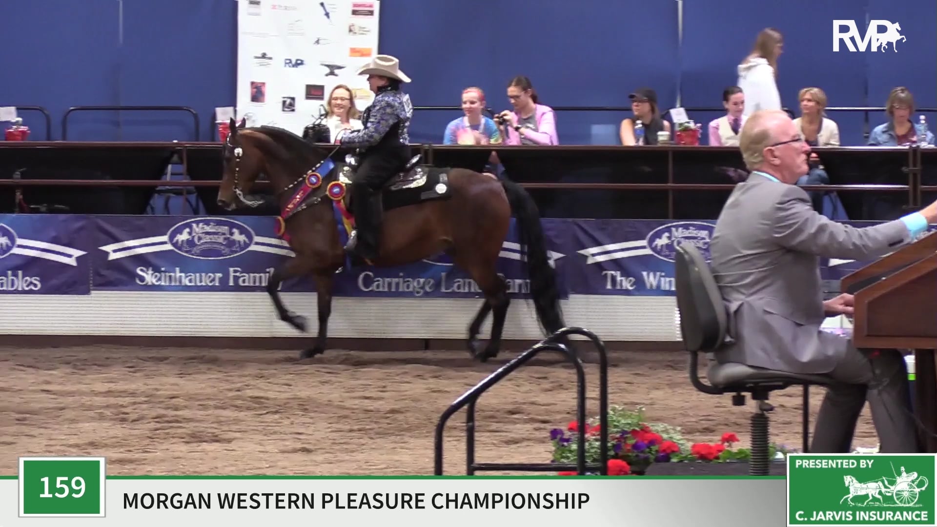 MC19 - Class 159 - Kinzu Gracefilly Wild