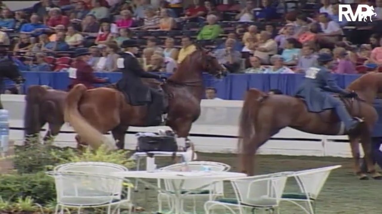2004 Worlds Championship Horse Show Class 217 Asb Adult Three Gaited