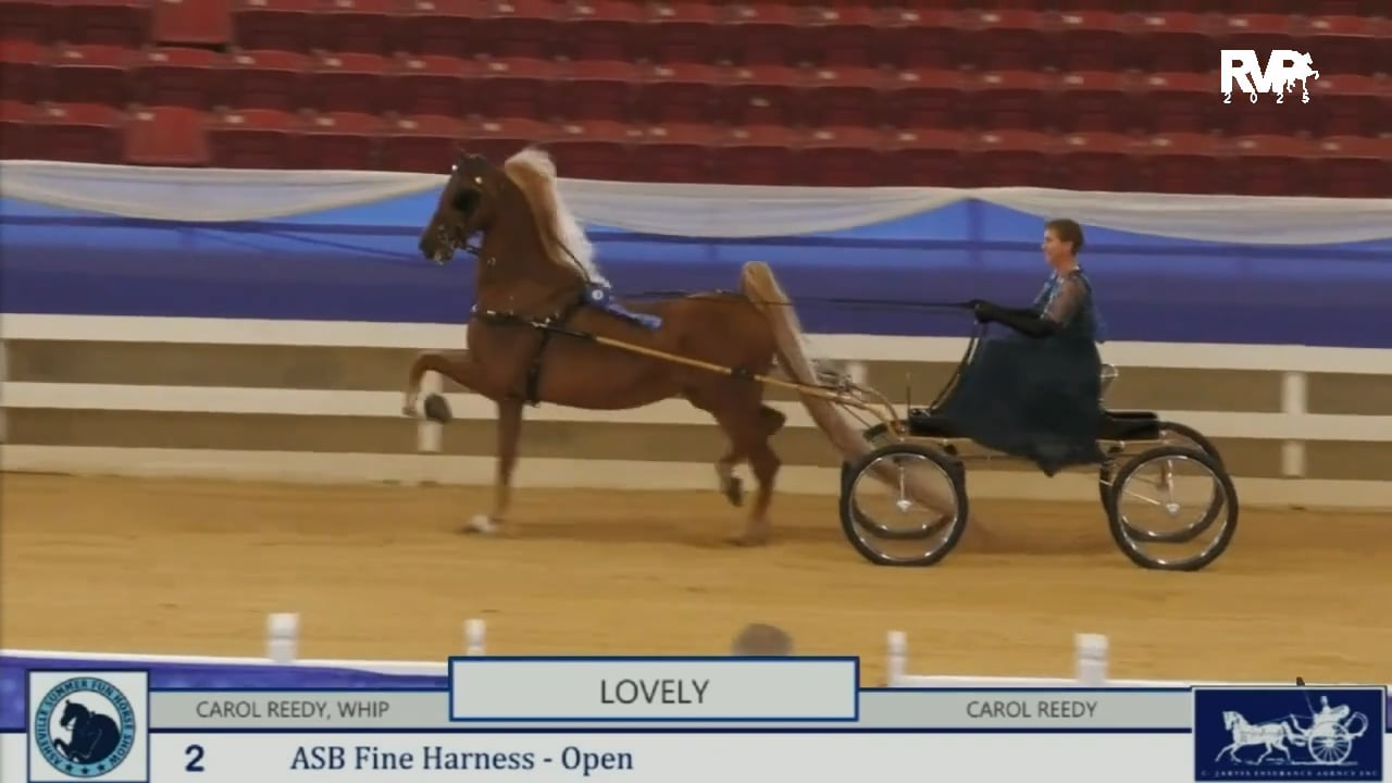 2025 Blue Ridge Classic Horse Show - Thursday Morning