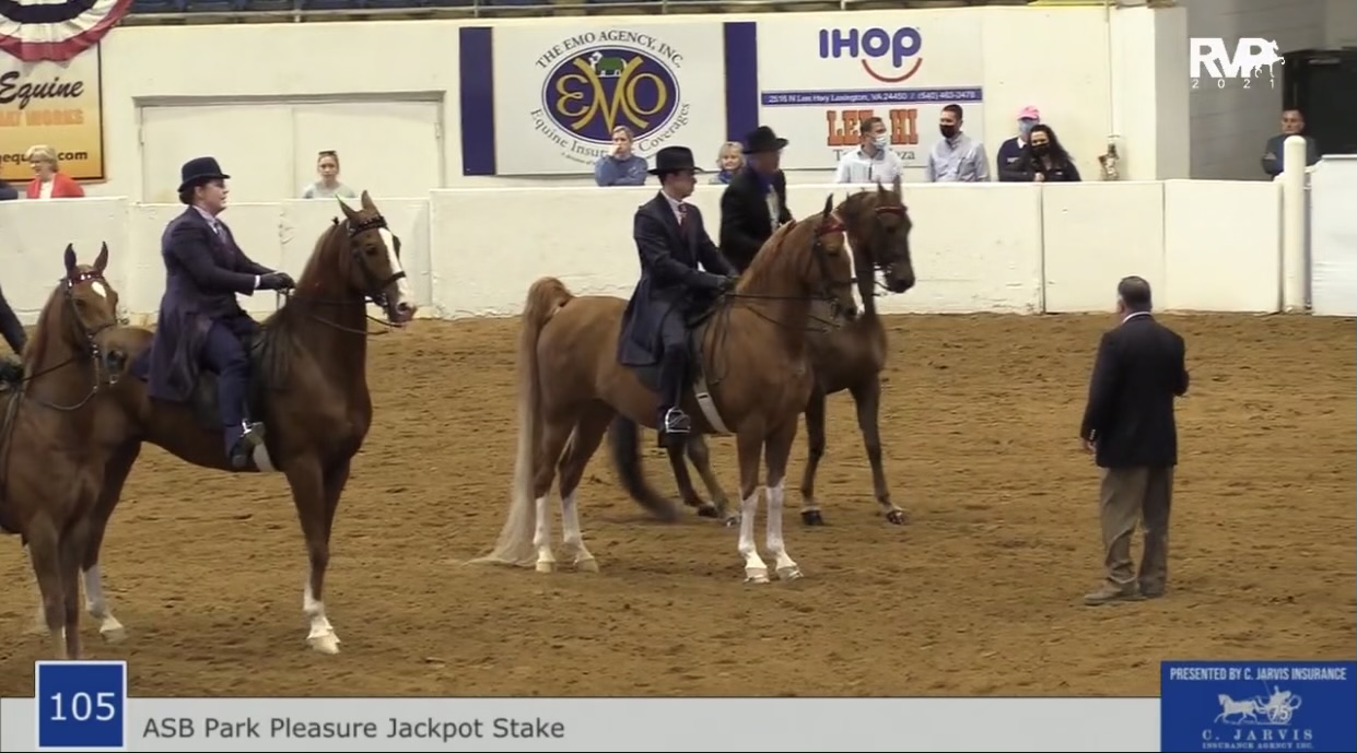 BB21 - Class 105 - ASB Park Pleasure Jackpot Stake