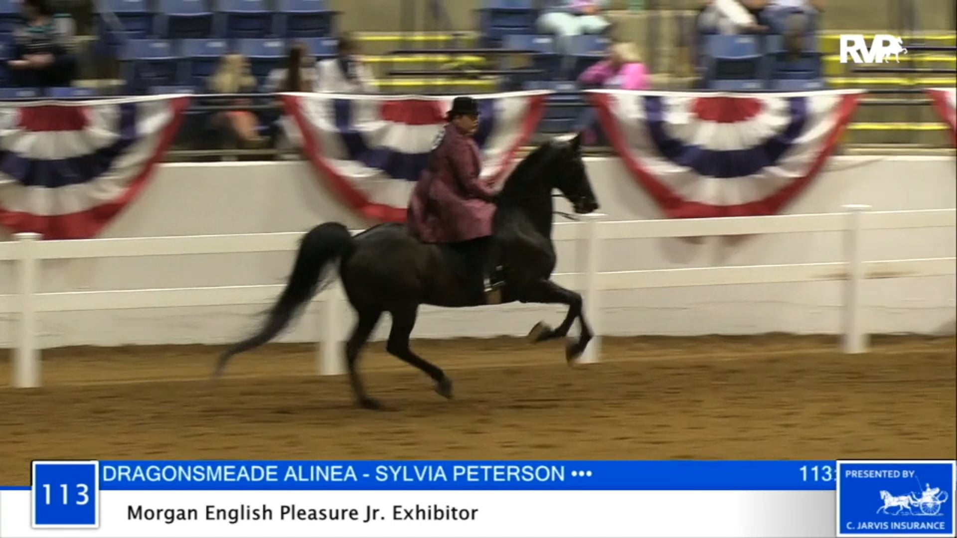 2020 BB - Class 113 Morgan English Pleasure Junior
Exhibitor