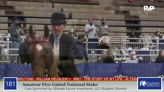 2020 AR - Class 181 Amateur Five Gait...