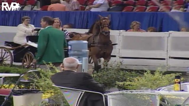 2004 World's Championship Horse Show ...