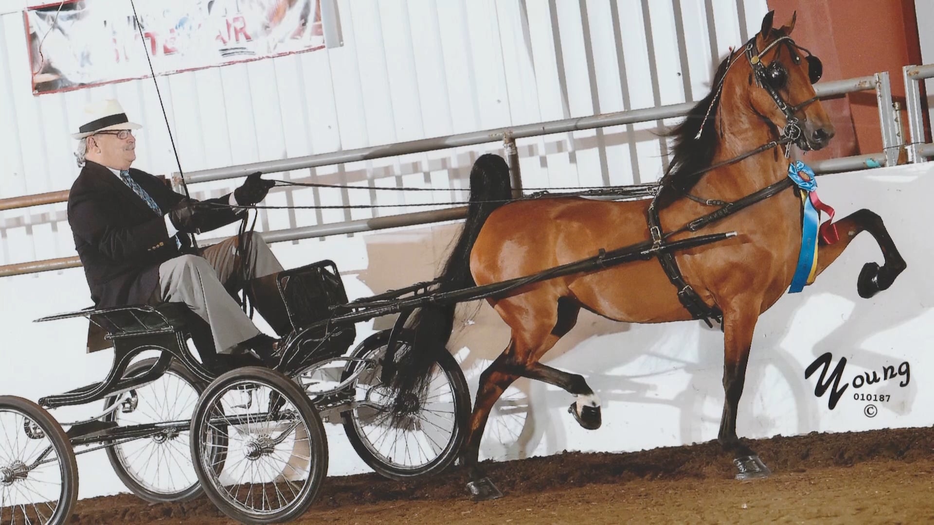 Steve Golden - Costello National Breeder Award 2018