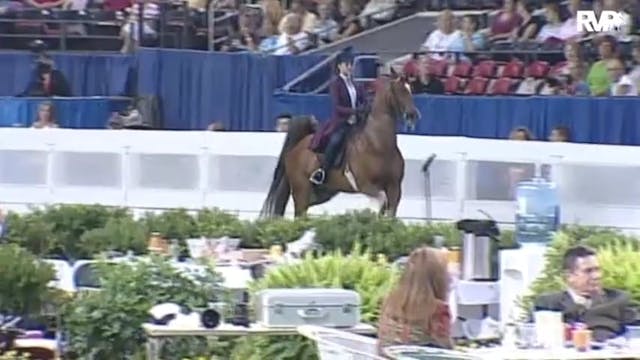 2010 World's Championship Horse Show ...