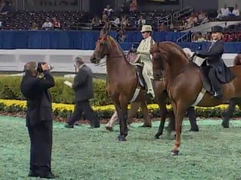 2008 WCHS Class 65 Saddle Seat Equita...