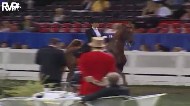 2004 World's Championship Horse Show ...