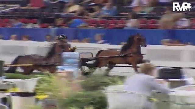 2004 World's Championship Horse Show ...