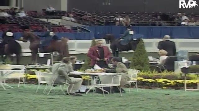 2003 WCHS Class 22 Three Gaited Pony ...