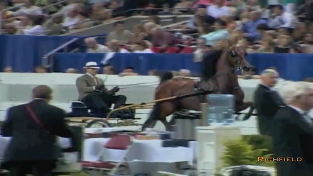 2002 WCHS Class 145 Junior Fine Harne...