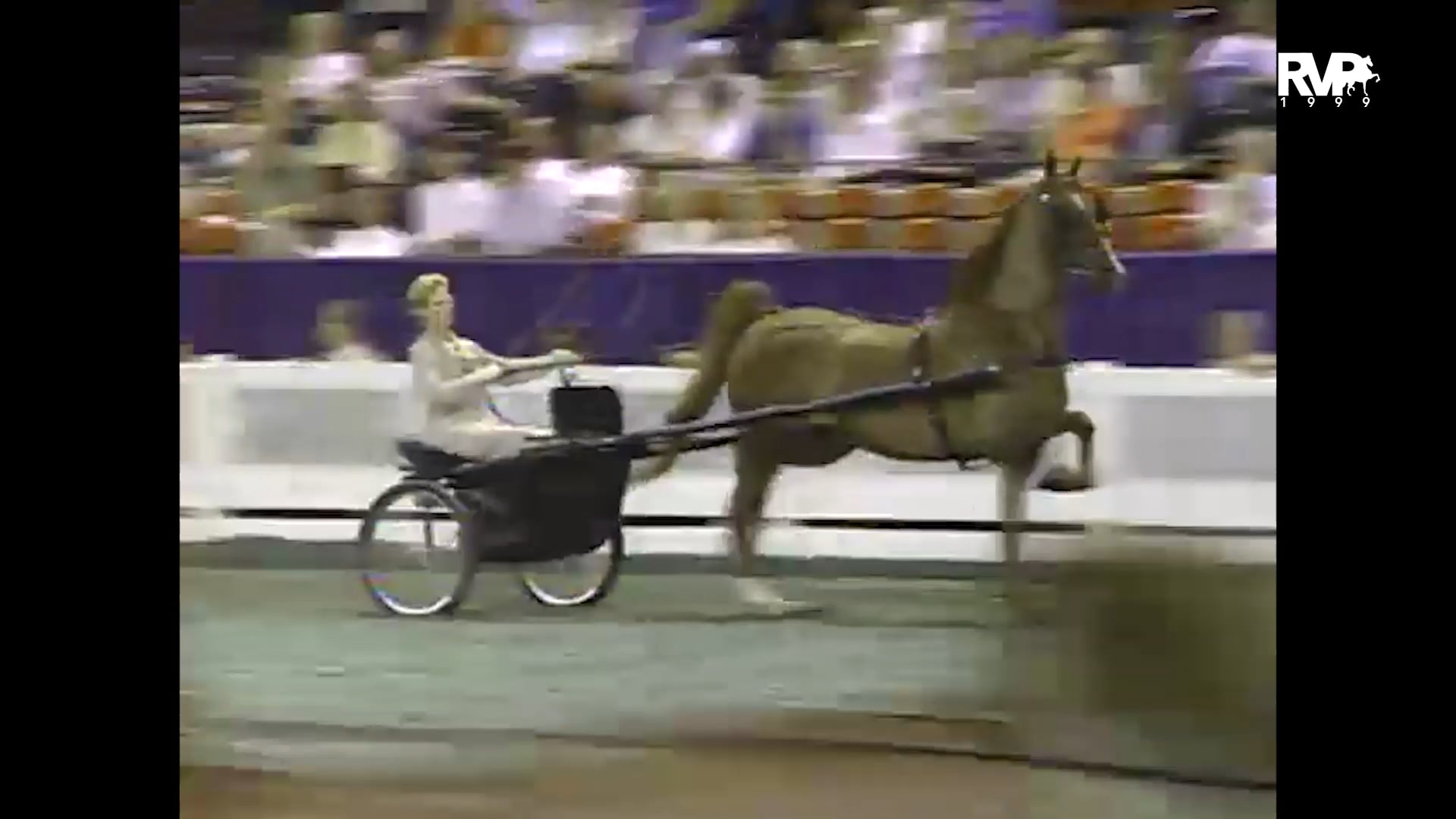 1999 WCHS - Class 177 ASB Show Pleasure Driving Adult Championship