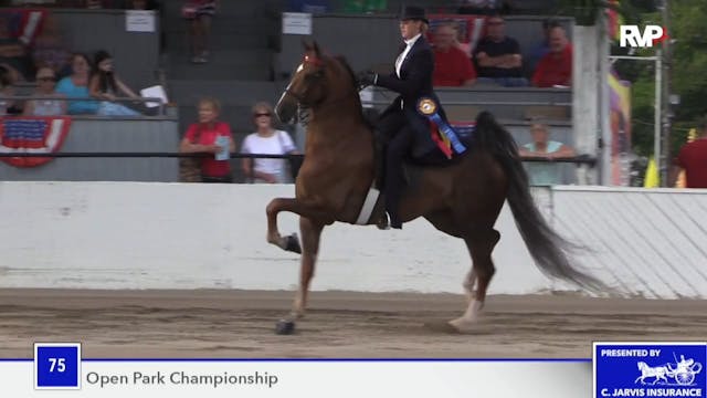 MCF18 - Class 75 - Triumphal Champion...