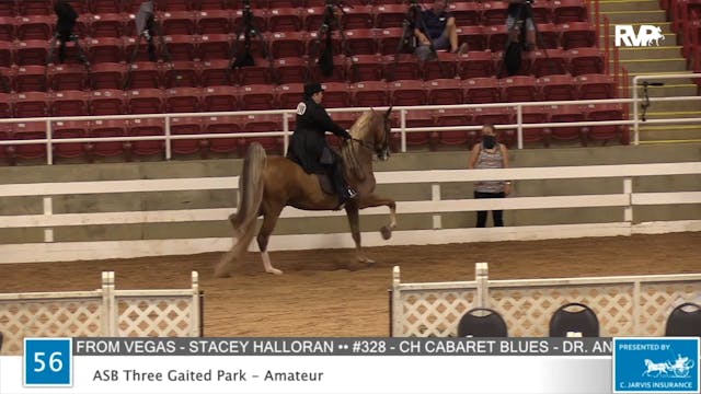 2020 ASF - Class 56 ASB Three Gaited ...